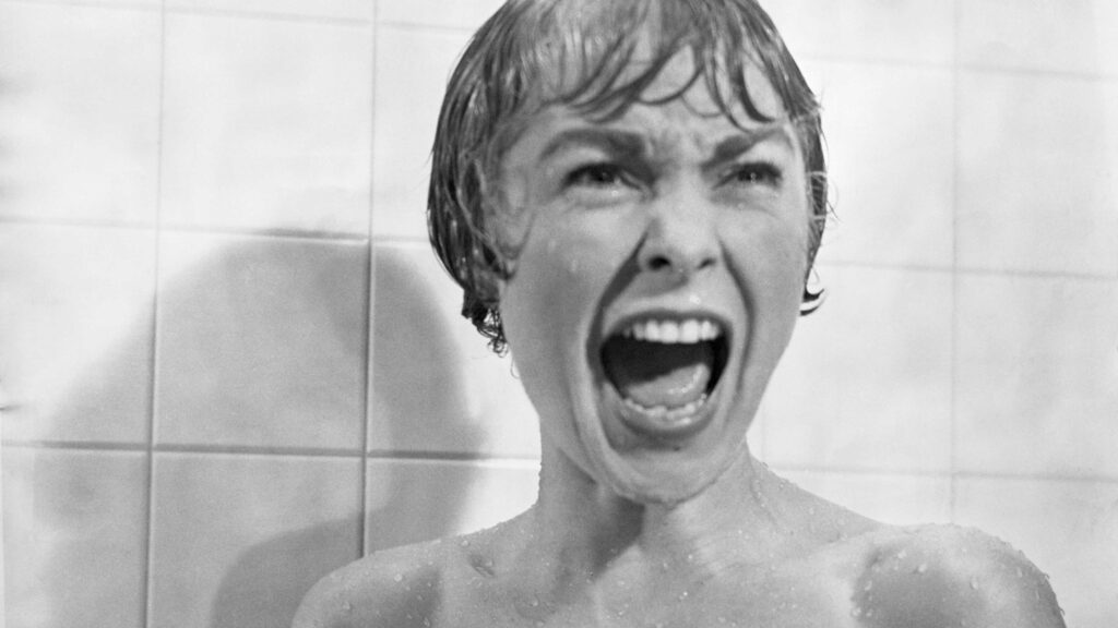 Janet Leigh in a still from Psycho