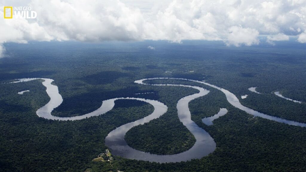 Aerial view of the serpentine course of the mighty Amazon River 