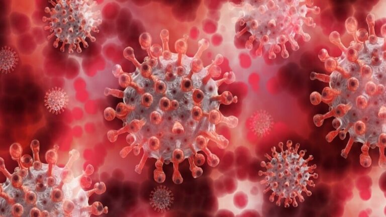 Plasma Therapy: A Safe and Effective Treatment for COVID-19