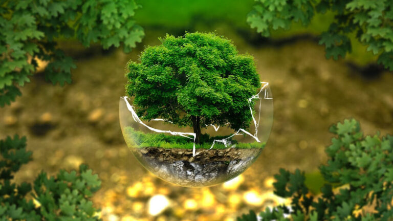 Human and Planetary Health Rely on Reduction of Nitrogen Use, Says New Study