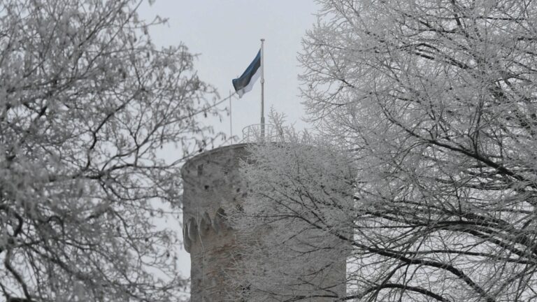 Estonia Celebrates 105 Years of Independence: A Look Back at Its Journey