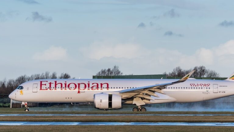“Crash Victims Didn’t Feel Pain,” Claim Boeing Lawyers in Ongoing Legal Battle