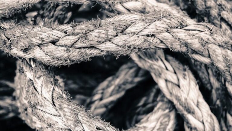 The Gordian Knot: A Historical Puzzle and Modern Metaphor