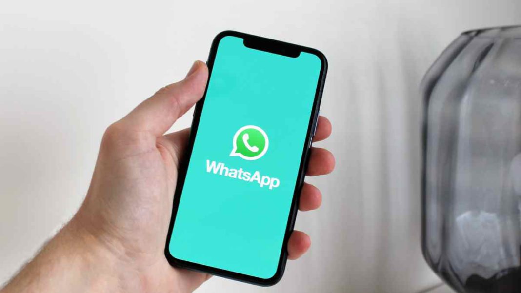 WhatsApp digital safety