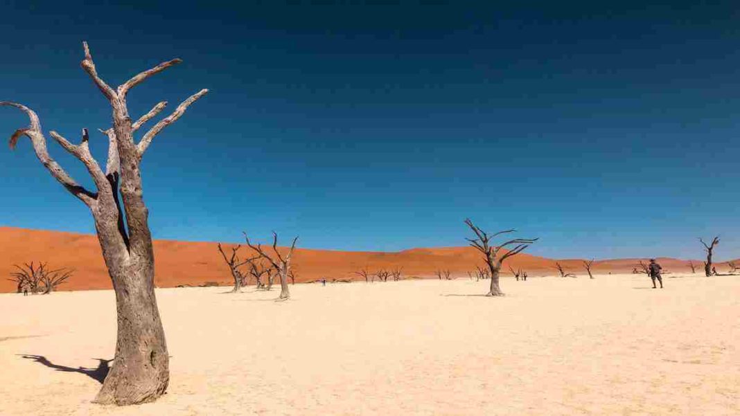 drought Horn of Africa