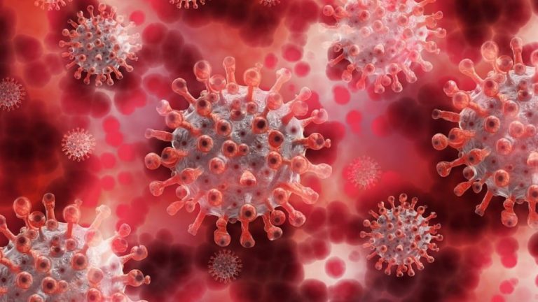 Glucocorticoid Treatment for Severe COVID-19 Raises Endocannabinoid Levels and Lowers Platelet-Activating Factor