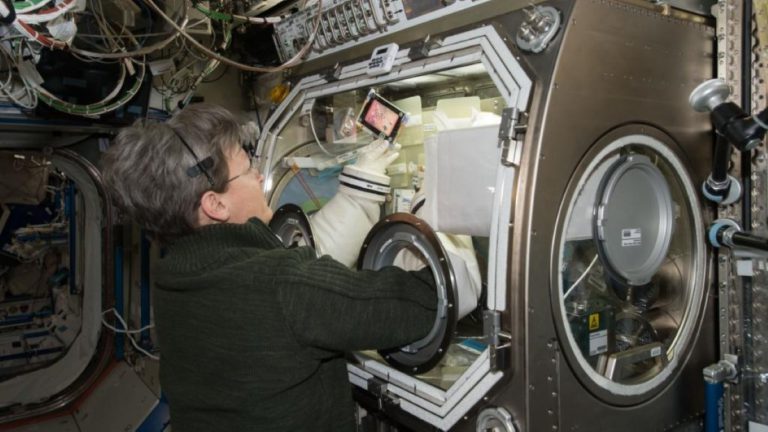 Stem Cells to Be Sent to Space to Test the Effect of Microgravity