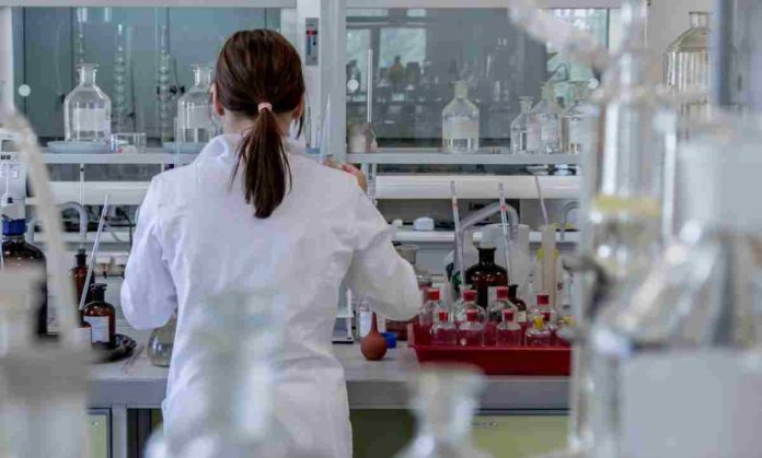 Brain Endocannabinoids