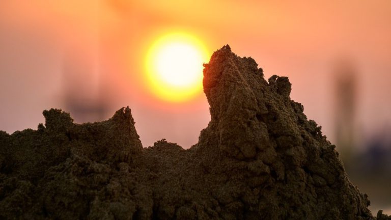 The Sorites Paradox: The Limit Where Heap of Sand Becomes Not a Heap