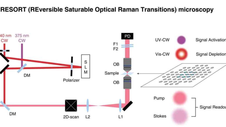 Researchers Combine Raman Probe Imaging Techniques to Revolutionise Microscopic Observation of Living Systems