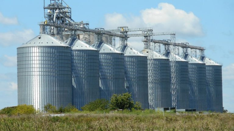 Tragedy Strikes in Brazil: Eight Killed, Dozens Injured in Grain Silo Explosion