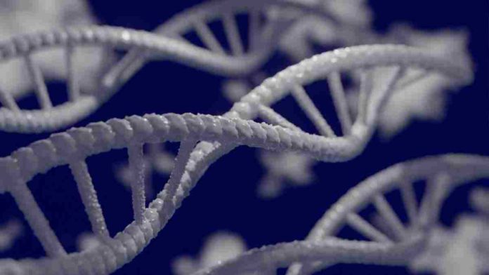 Origami DNA