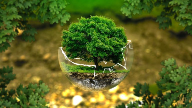 Nature’s Recipe for Success: Delving Deeper Into Liebig’s Law of the Minimum