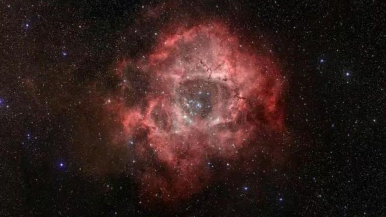 Understanding the Unruh Paradox: The Inexplicable Conundrum of Acceleration and Quantum Physics