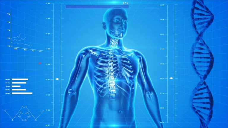 The Law of Strength: Understanding Wolff’s Law and Its Impact on Bone Health