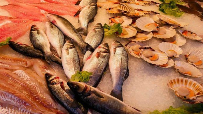 seafood Fukushima