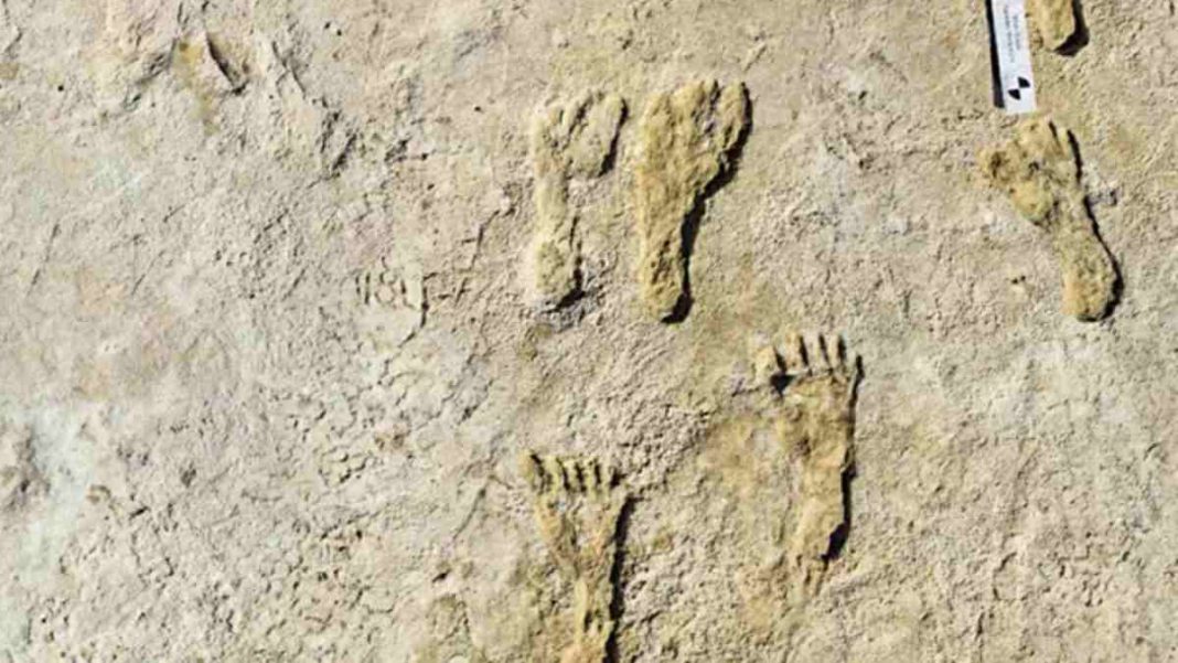 Ancient Footprints New Mexico