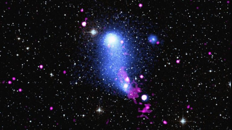 Starburst Galaxies Obscure Greedy Supermassive Black Holes, Revealing New Insights into Galactic Growth